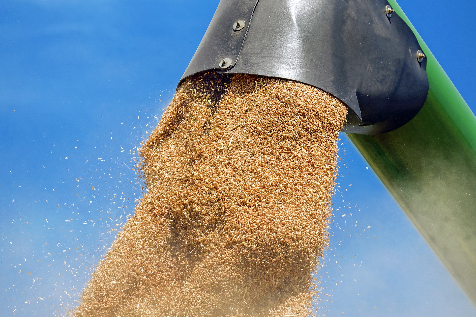 Новини компаній: «Аскет Шиппінг» встановив місячний рекорд з перевалки зерна